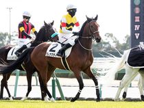 ����å��ǳ��������ɽ�����ޤ�