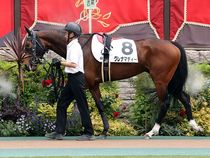 ����å��ǳ��������ɽ�����ޤ�