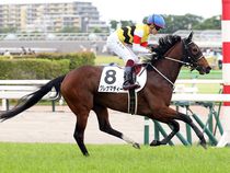 ����å��ǳ��������ɽ�����ޤ�