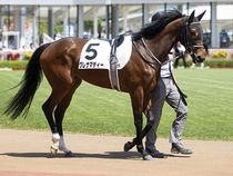 ����å��ǳ��������ɽ�����ޤ�