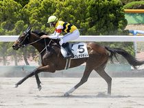 ����å��ǳ��������ɽ�����ޤ�