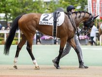 ����å��ǳ��������ɽ�����ޤ�