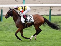 ����å��ǳ��������ɽ�����ޤ�