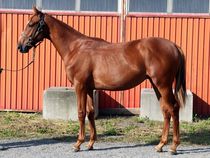 ����å��ǳ��������ɽ�����ޤ�