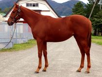 ����å��ǳ��������ɽ�����ޤ�