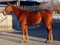 ����å��ǳ��������ɽ�����ޤ�