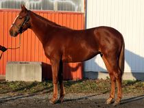 ����å��ǳ��������ɽ�����ޤ�