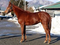 ����å��ǳ��������ɽ�����ޤ�