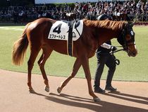 ����å��ǳ��������ɽ�����ޤ�