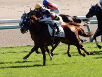 ����å��ǳ��������ɽ�����ޤ�