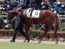 ����å��ǳ��������ɽ�����ޤ�