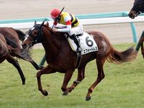 ����å��ǳ��������ɽ�����ޤ�