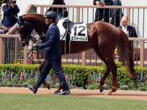 ����å��ǳ��������ɽ�����ޤ�