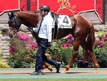 ����å��ǳ��������ɽ�����ޤ�