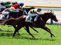 ����å��ǳ��������ɽ�����ޤ�