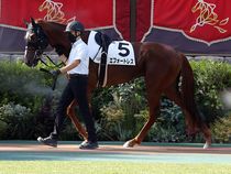 ����å��ǳ��������ɽ�����ޤ�