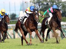 ����å��ǳ��������ɽ�����ޤ�