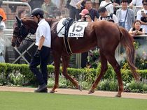 ����å��ǳ��������ɽ�����ޤ�