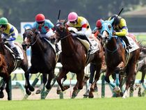 ����å��ǳ��������ɽ�����ޤ�