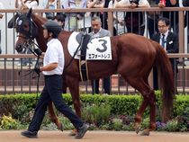 ����å��ǳ��������ɽ�����ޤ�