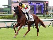 ����å��ǳ��������ɽ�����ޤ�