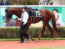 ����å��ǳ��������ɽ�����ޤ�