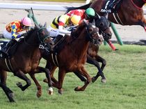 ����å��ǳ��������ɽ�����ޤ�