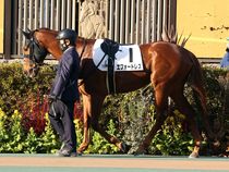 ����å��ǳ��������ɽ�����ޤ�