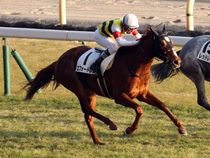 ����å��ǳ��������ɽ�����ޤ�