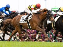 ����å��ǳ��������ɽ�����ޤ�