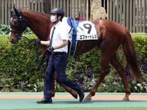 ����å��ǳ��������ɽ�����ޤ�