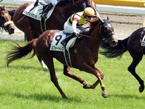 ����å��ǳ��������ɽ�����ޤ�