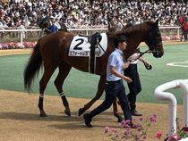 ����å��ǳ��������ɽ�����ޤ�