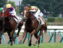 ����å��ǳ��������ɽ�����ޤ�