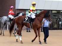 ����å��ǳ��������ɽ�����ޤ�