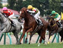 ����å��ǳ��������ɽ�����ޤ�