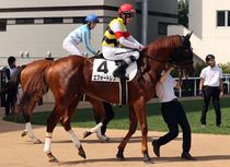 ����å��ǳ��������ɽ�����ޤ�