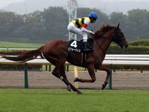 ����å��ǳ��������ɽ�����ޤ�