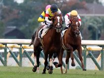 ����å��ǳ��������ɽ�����ޤ�