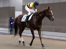 ����å��ǳ��������ɽ�����ޤ�