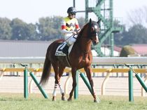 ����å��ǳ��������ɽ�����ޤ�