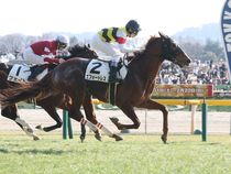 ����å��ǳ��������ɽ�����ޤ�