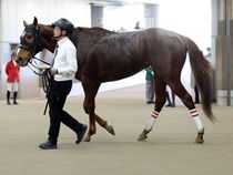 ����å��ǳ��������ɽ�����ޤ�