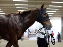 ����å��ǳ��������ɽ�����ޤ�