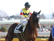 ����å��ǳ��������ɽ�����ޤ�