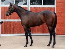 ����å��ǳ��������ɽ�����ޤ�