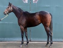 ����å��ǳ��������ɽ�����ޤ�