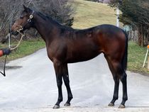 ����å��ǳ��������ɽ�����ޤ�