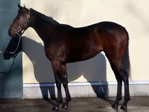 ����å��ǳ��������ɽ�����ޤ�