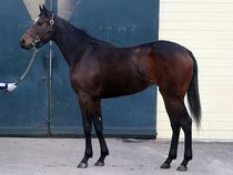 ����å��ǳ��������ɽ�����ޤ�